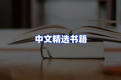 中文精选书籍